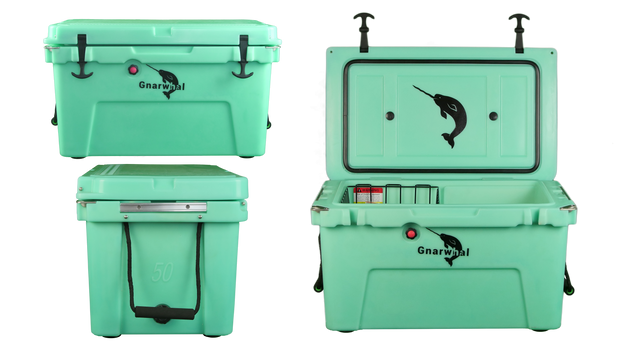Aurora 50qt
